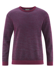 Elias Strickpullover