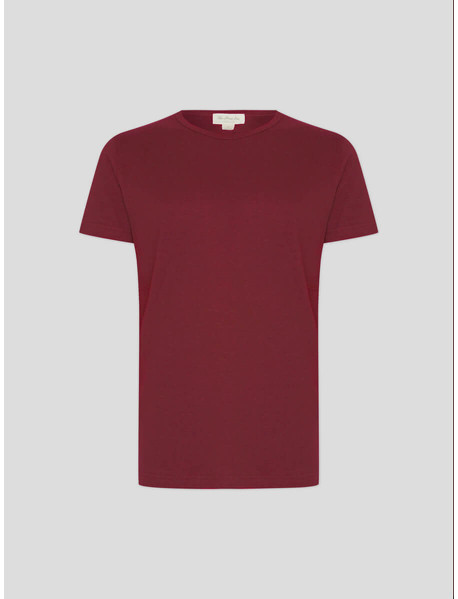 Premium T-Shirt Hanf